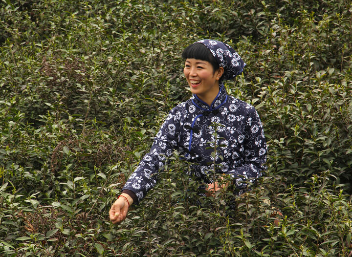 排行4